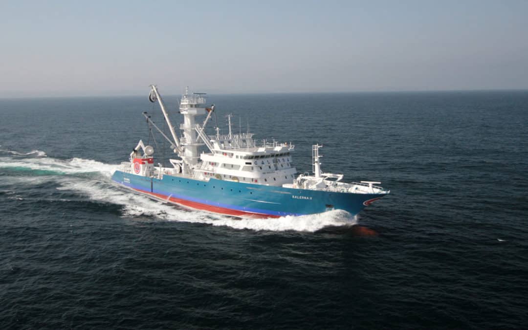 Wärtsilä optimises the performance of Albacora’s fishing fleet
