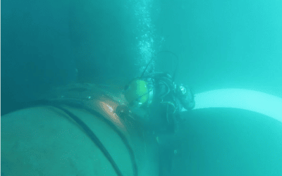 Underwater stern tube seal repair in Tasmania