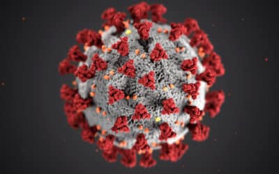 Opinion: The Coronavirus conundrum