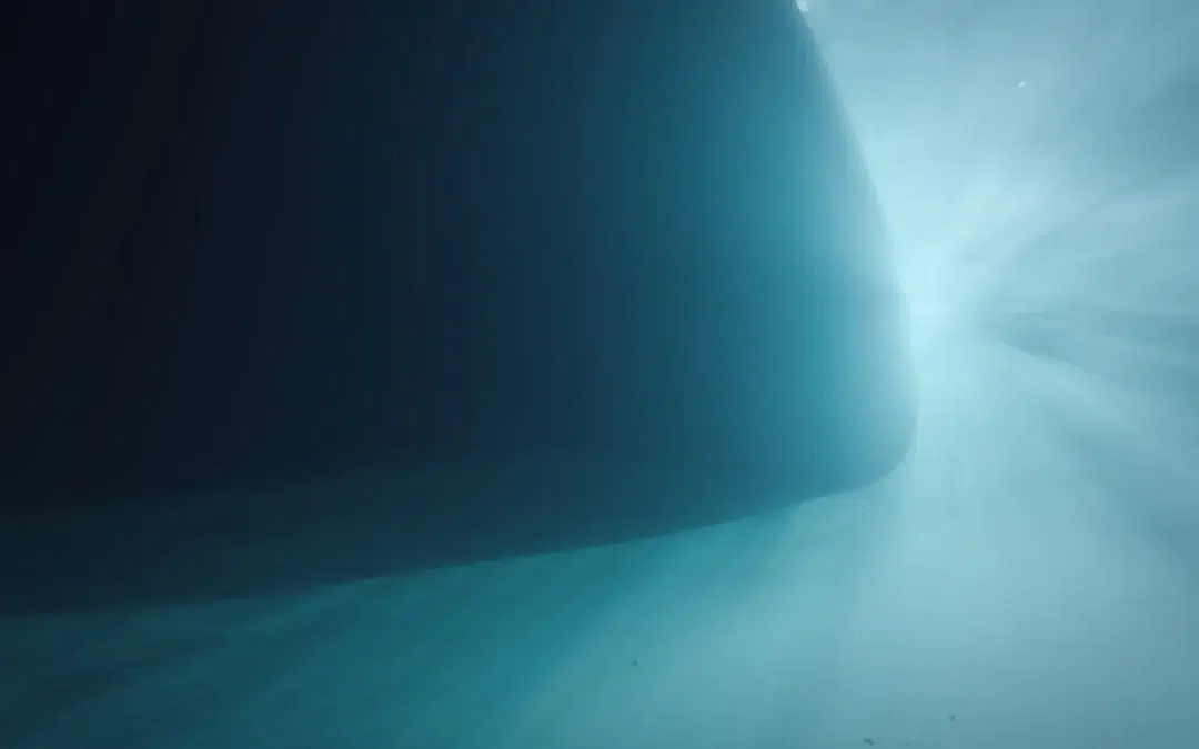 Biocides are a necessary tool for managing biofouling