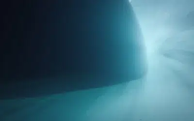 Biocides — a necessary tool for managing biofouling